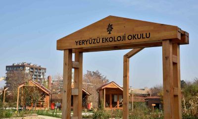 Yeryüzü Ekoloji Okulu’nda ekim ayı atölyeleri başlıyor