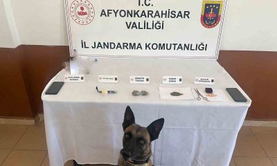 Jandarma zehir tacirlerine geçit yok