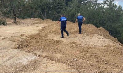 Zabıta doğa katliamına ’dur’ dedi