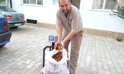 Hisarcık elma kurusunun fiyatı 35 TL’ye yükseldi