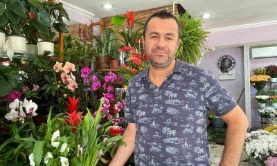 Kış aylarında çiçek bakımında bunlara dikkat