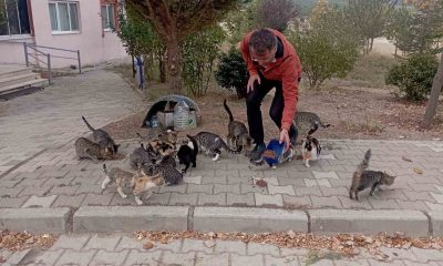 Hisarcık’lı esnaf 30 sokak kedisine bakıyor