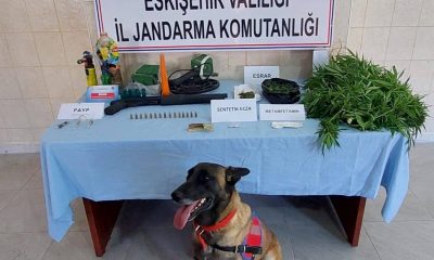 Uyuşturucu madde ticareti yapan şahsa jandarma operasyonu