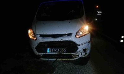 Bilecik’te aracın çarptığı 3 koyun telef oldu