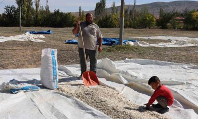 (ÖZEL) Tüccarın fırsatçılığı çiftçiyi mağdur ediyor
