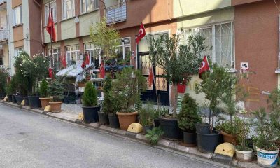 ’Sevgililer Aşıklar Parkı’ renkli görüntüsüyle dikkat çekiyor