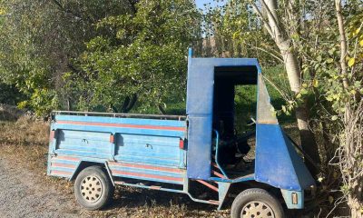 Ağaca çarpan patpat sürücüsü ağır yaralandı