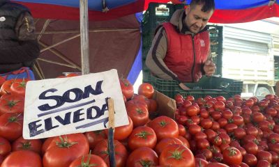 Ucuz ve lezzetli bahçe domateslerine esnaf ’Son elveda’ dedi