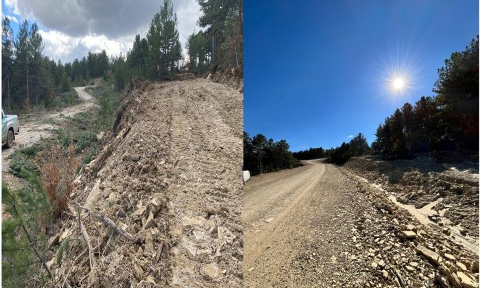 Kütahya’da orman yangınları riskini azaltma çalışmaları