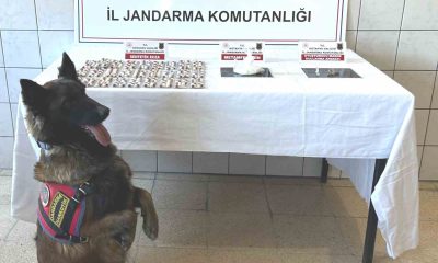 Kütahya’da jandarmadan uyuşturucu operasyonu: 3 tutuklama