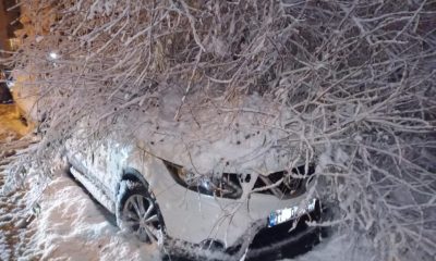Kar yağışı esnasında ağaç otomobilin üstüne devrildi(Video Haber)