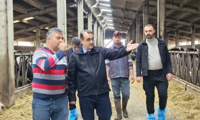 Fatih Dönmez Besi ve Süt Hayvan Yetiştirme Çiftlillerini ziyaret etti
