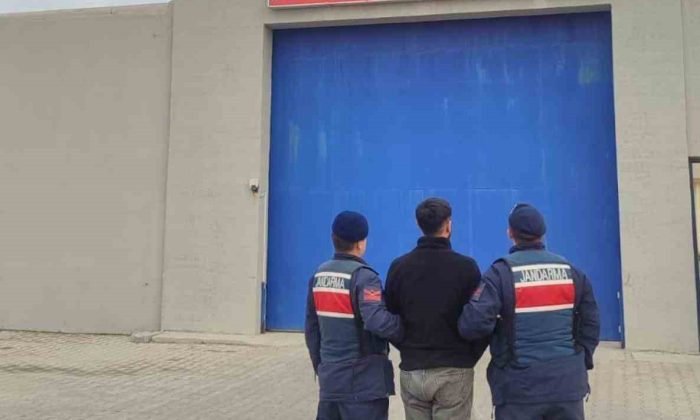 Dolandırıcılık suçundan aranan şahsı jandarma yakaladı