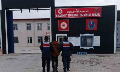 Aranan şahısları jandarma yakaladı