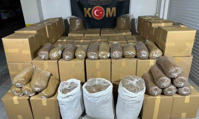 Eskişehir’de piyasa değeri 400 bin TL olan 2 ton kıyılmış tütün ele geçirildi
