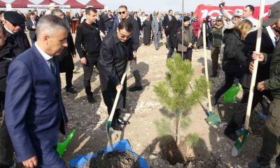 Son 5 yılda Kütahya’da 110 milyon 757 bin 317 fidan toprakla buluşturuldu