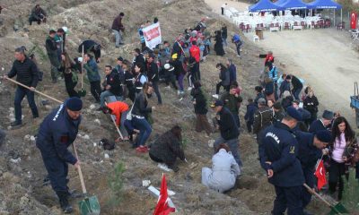 Bozüyük’te Şehitler Ormanı için 1111 adet fidan dikildi