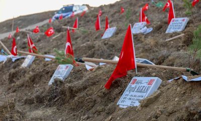 Her şehit anısına bir fidan
