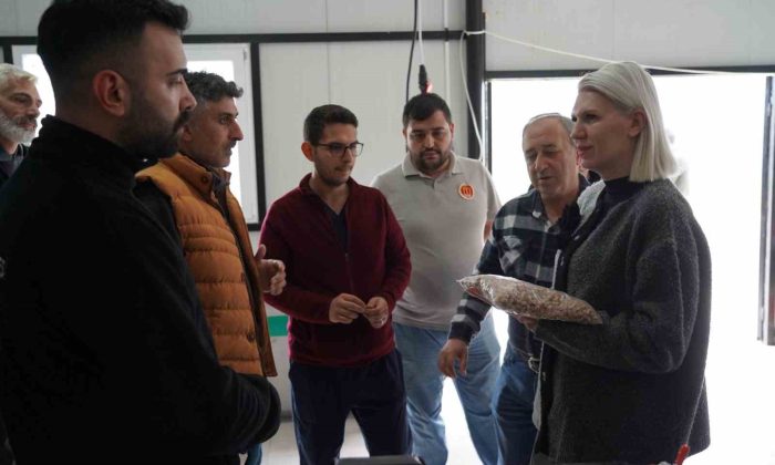 Bilecik’te sokak hayvanları için ücretsiz mama üretiliyor