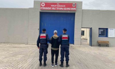 20 yıl hapis cezasıyla aranan şahıs jandarma tarafından yakalandı