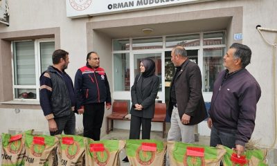 Çiftçilere hibe destekli buğday tohumu dağıtıldı