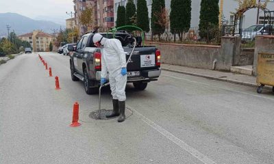 Rögarlarda ilaçlama çalışması yapıldı