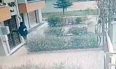 Apartmana giremeyen hırsızlık şüphelileri kameraya yakalandı (Video Haber)