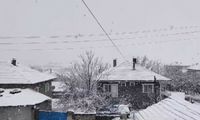 20’ye yakın köy ve belde yağan kar yağışı sonrası beyaza büründü