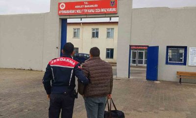 Ağaç kesme suçundan aranan şahıs yakalandı