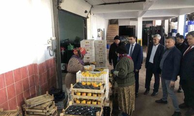 Türkiye’nin dört bir yanına bu soğuk hava deposundan meyveler gidiyor