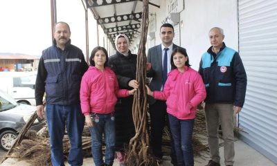 Bilecik’te çiftçilere yüzde 50 destekli eviz ve badem fidanı