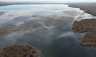 Eber Gölü’nde su seviyesi artmaya başladı