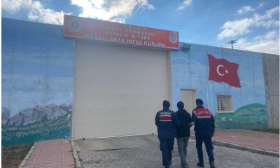 Dolandırıcılık suçundan aranırken jandarmaya yakalandı