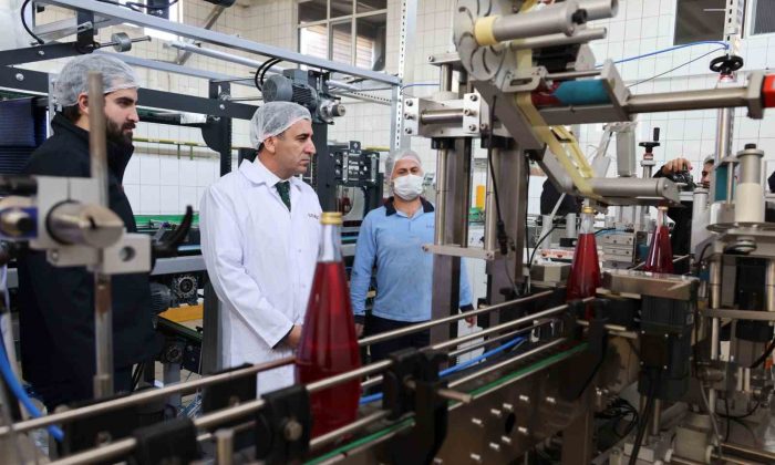 Geleneksel bitki ve baharatlardan aylık 600 ton içecek üretiyorlar