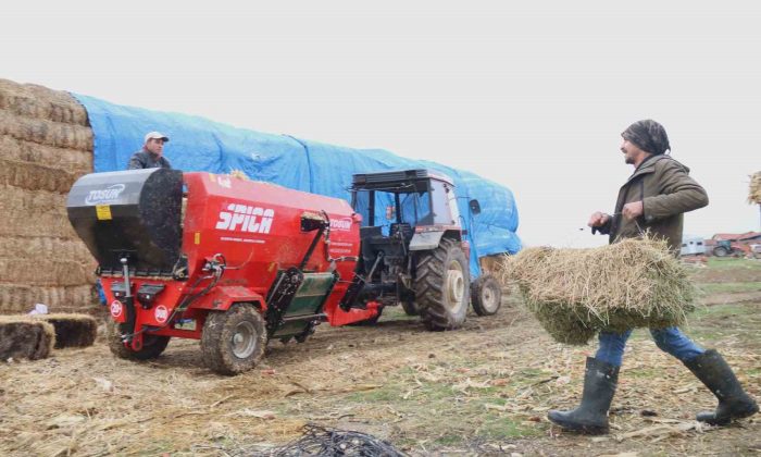 Üniversiteli çoban kış mevsiminde küçükbaş hayvan bakımının zorluklarını anlattı