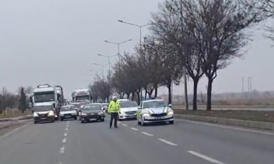 Yaralı köpeğe müdahale için trafik çift yönlü durduruldu