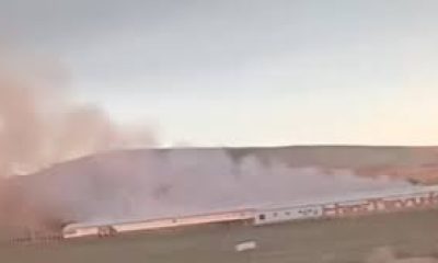 Tavuk çiftliğinde çıkan yangın hasara neden oldu