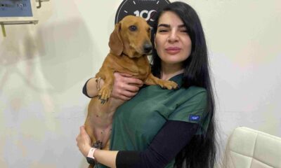 Kış aylarında evcil hayvanların aşılarını ihmal etmeyin