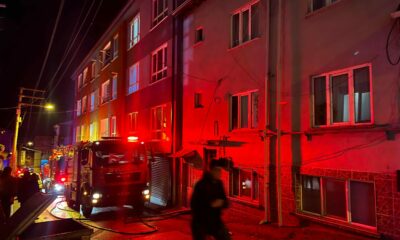 Çatıyı yakıp aşağıya atlayan adam ağır yaralandı, beslediği 10 kuş yangında telef oldu