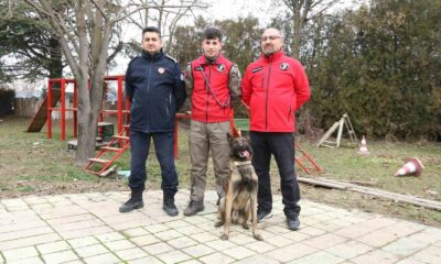 K-9 arama kurtarma köpeği ’Adam’, Türkiye’nin en genç eğitmeni ile afetlere hazırlanıyor