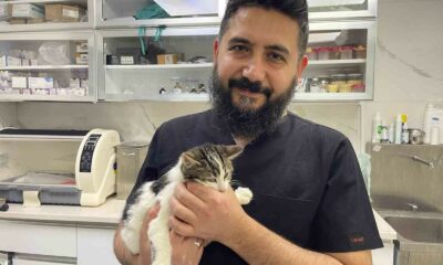 Veteriner hekim sahte mama riskine karşı uyardı