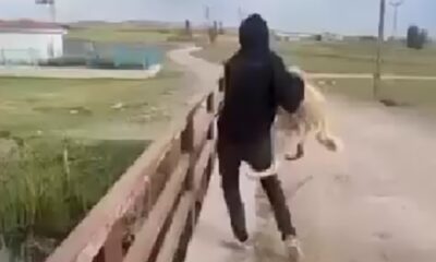 Soğuk kış gününde köpeği köprüden suya attı