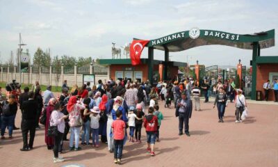 Eskişehir Hayvanat Bahçesi bir yılda 805 bin ziyaretçi ağırladı