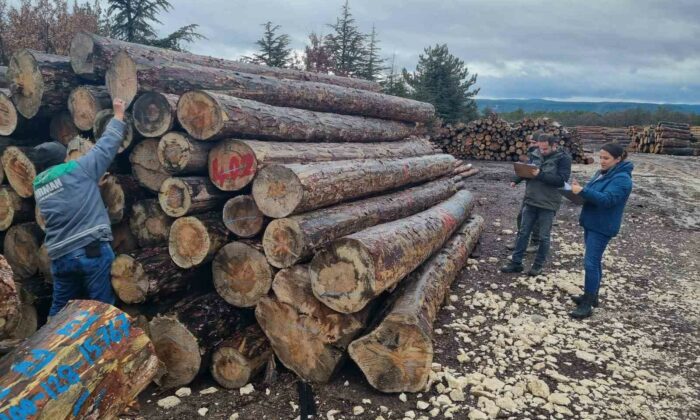 Kütahya’da orman emvallerinin yıl sonu sayımları yapıldı