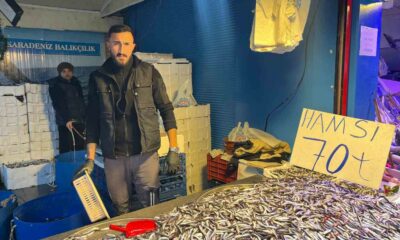 Denizdeki bolluk ve rekabet hamsi fiyatını 70 liraya kadar düşürdü