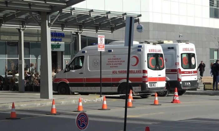 İki Köpek Yavrusu başlarına taş bağlanmış halde ölü  bulundu