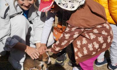 Bilecik’te 234 kedi ve köpek sahiplendirildi