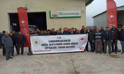 Aslanapa’da doğal afetlerden zarar gören 147 çiftçiye sertifikalı nohut tohumu desteği