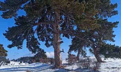 Kırka Mahallesi beyaza büründü