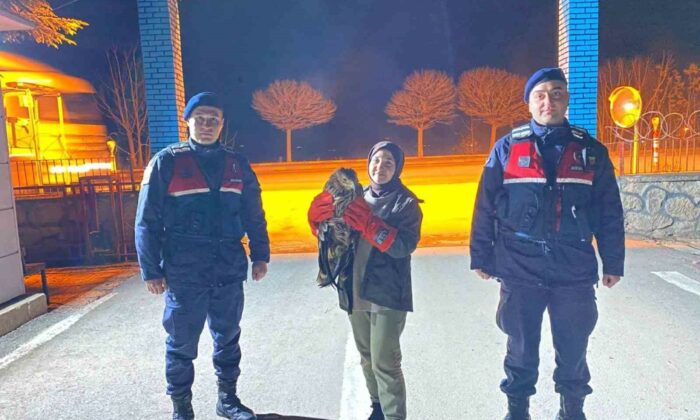 Vatandaşın bulduğu yaralı kızıl şahin jandarma ekiplerine teslim edildi